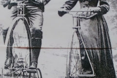 Radlerin